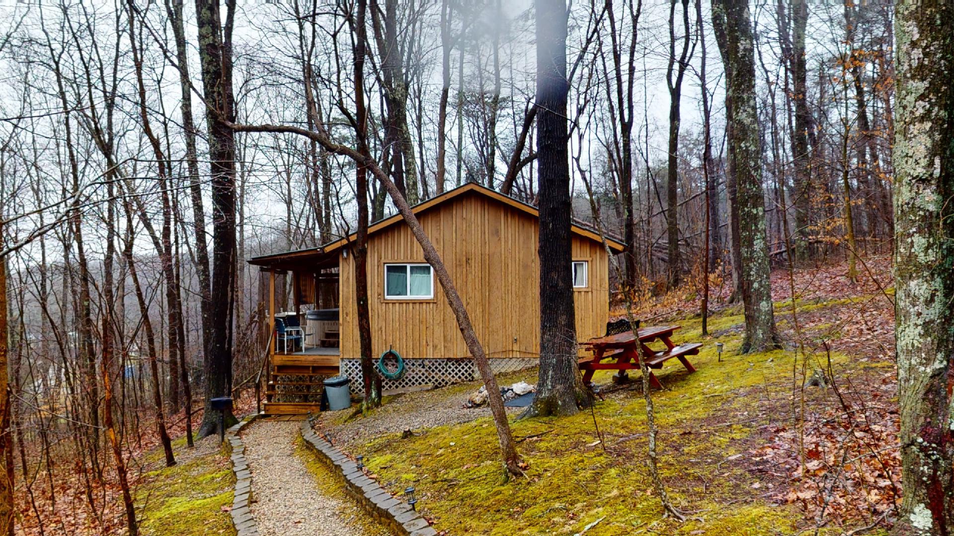 Castaway Cabin Castaway Cabin