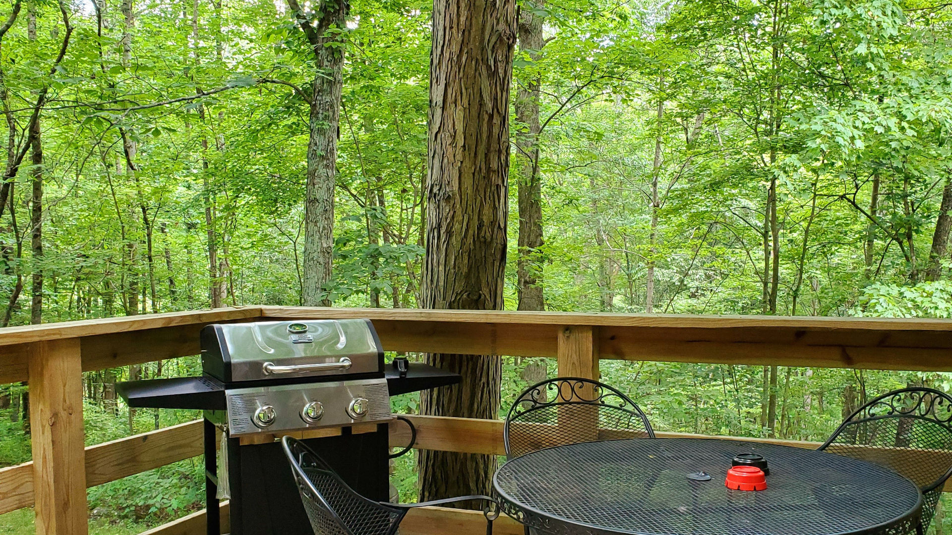 Hocking Hills Secluded & Private Cabins